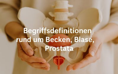 Begriffsdefinitionen rund um Becken – Blase – Prostata