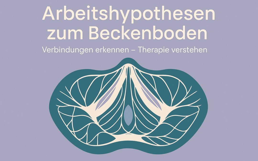 Arbeitshypothesen Beckenboden: Neue Perspektiven in der Therapie